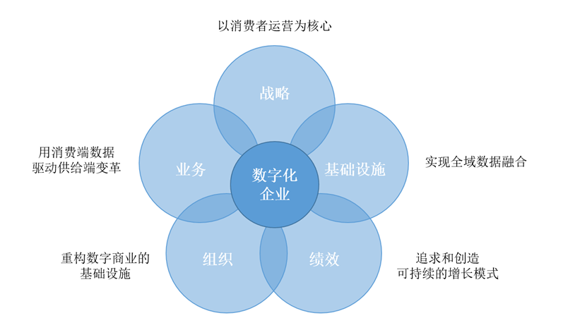 数字化转型核心解析，揭秘其核心要素