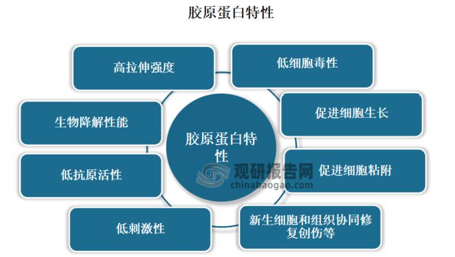 财务管理行业分析报告，趋势、挑战与前景展望展望发展之路