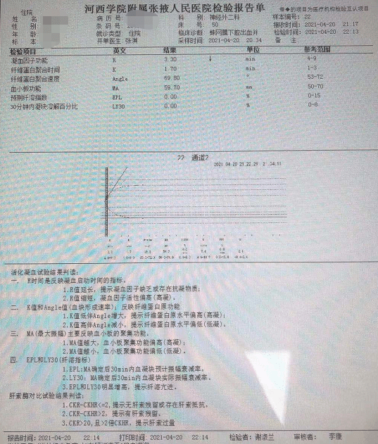 商务局的核心职责与功能全面解析