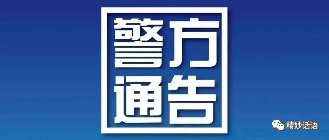 中商玖仪最新通知解读，更新内容与发展动态概览