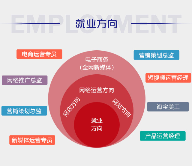 电子商务专业，多元化就业方向探索