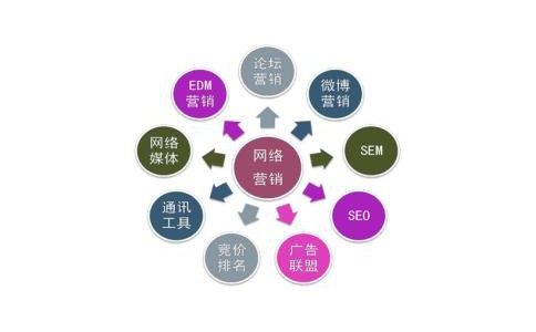 市场营销案例深度解析，策略优化与SEO应用实战指南