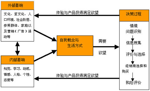 消费者行为深度解析，攻略指南与营销策略优化