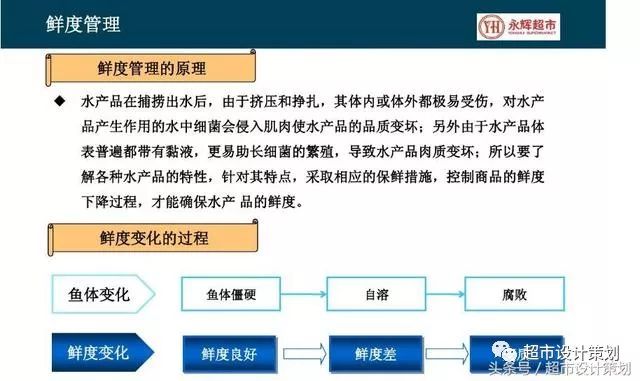 运营管理部事中监督管理的深度解析与策略优化探讨