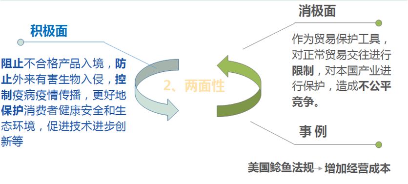 国际贸易战略与运营优化，构建竞争优势的核心路径