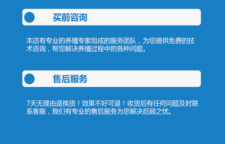 商务职责详解，核心职责、优化方向及常见问题解答指南