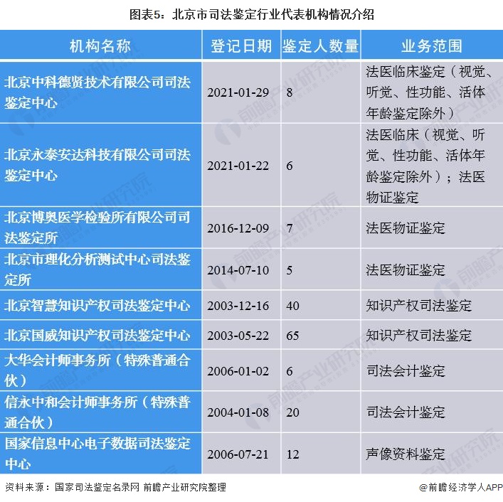 法律案件深度分析报告