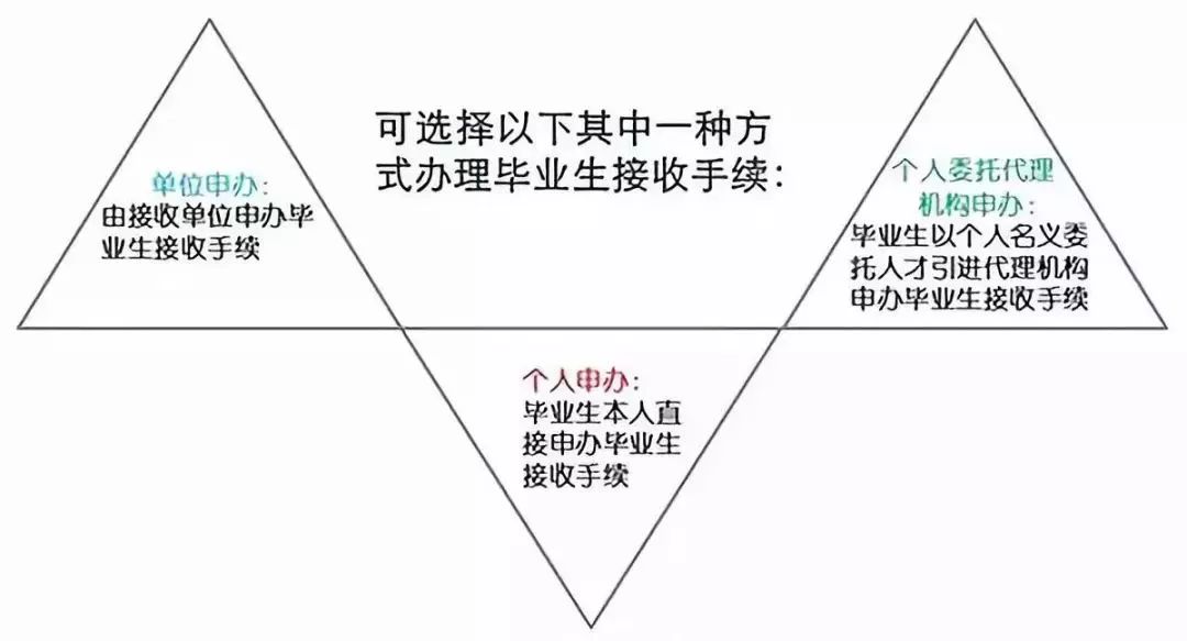 硕士人才引进策略，路径探索与优化方向研究