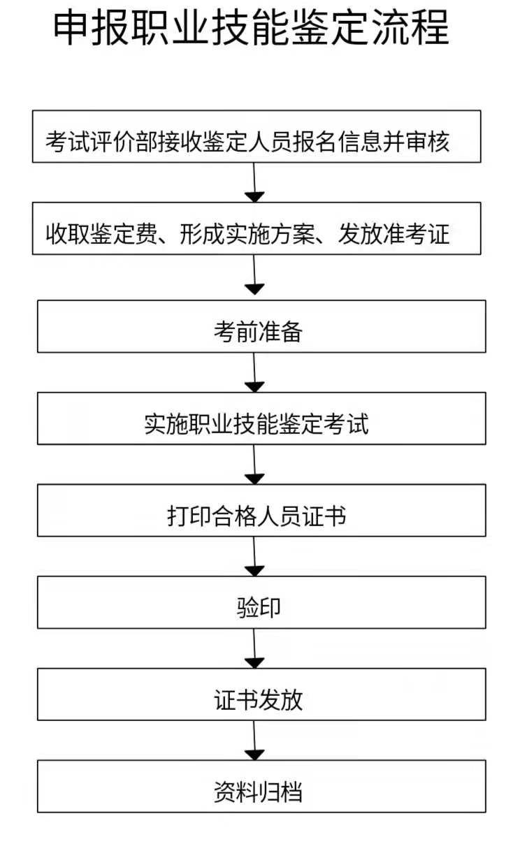 职业技能证书报考中心全面指南，流程优化、答疑解惑与备考建议