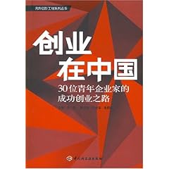 全方位解析卓越之选——赞美公司的成功之路