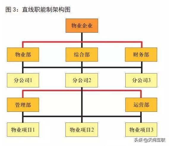 揭秘组织架构，核心职能、优化策略全解析