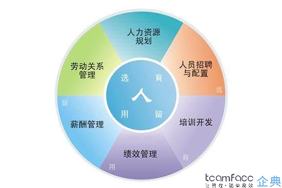 HR软件定制，优化人力资源管理的创新之路