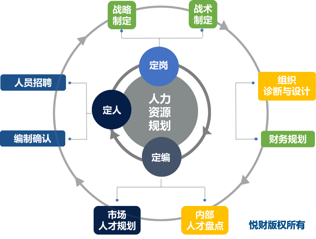 战略人力资源规划的程序与实例深度解析