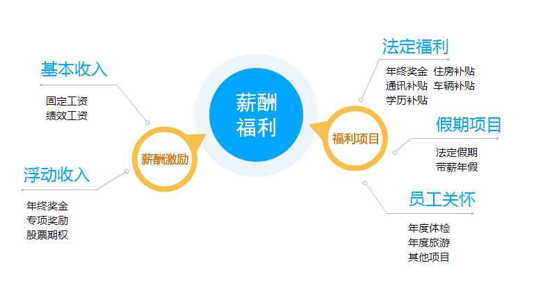 福利待遇详解，工资收入是否包含其中？全面剖析福利待遇构成。