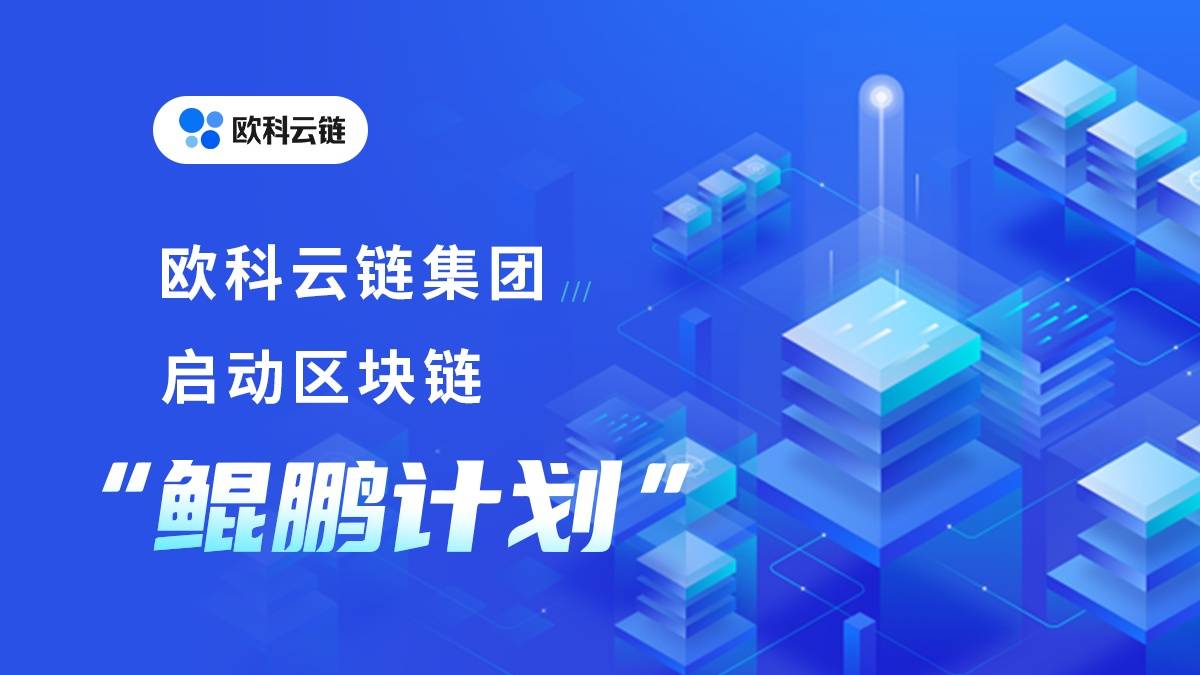 内向与笨拙并非阻碍，逆袭策略开启职业生涯新篇章