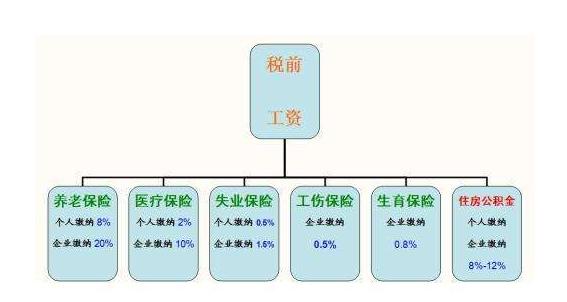 社会保险专业探秘，揭开神秘面纱