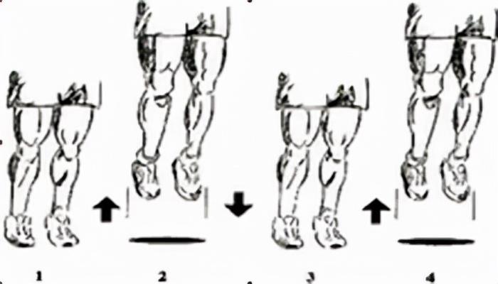 全方位提升弹跳力训练指南