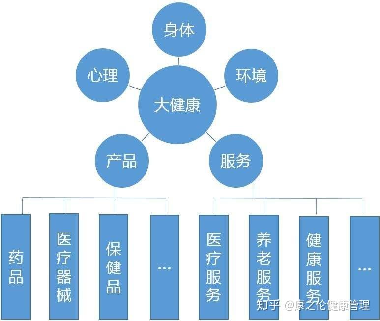 探寻大健康细分类目的洞察与优化策略