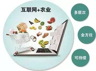 中国十大企业品牌的卓越之路与品牌优化策略