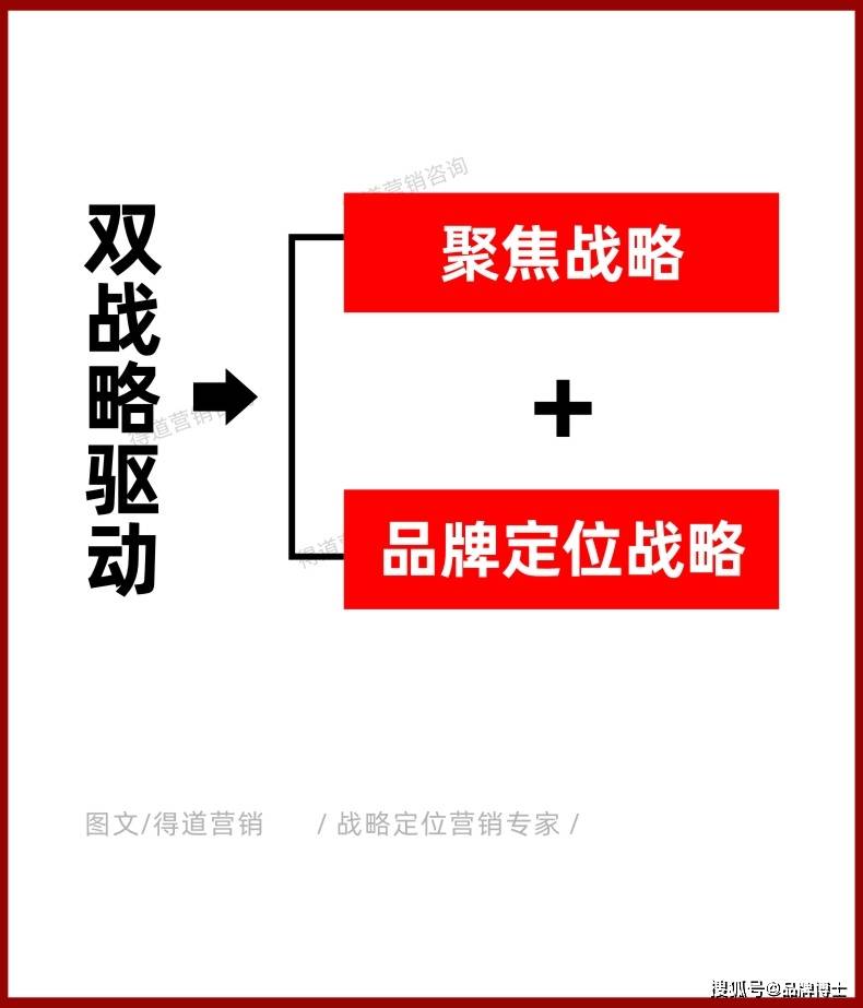 多样化方案，引领未来的关键策略之道