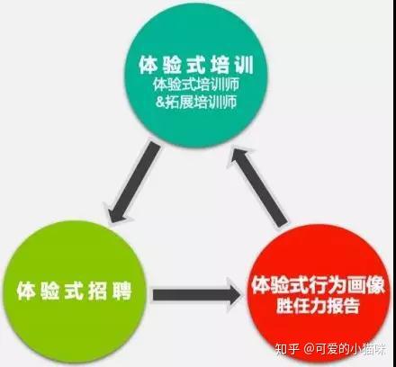 人才招聘的黄金原则与优化策略探究