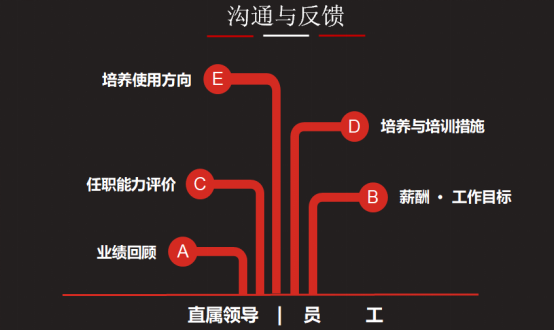 人才梯队建设的八大步骤及优化策略详解