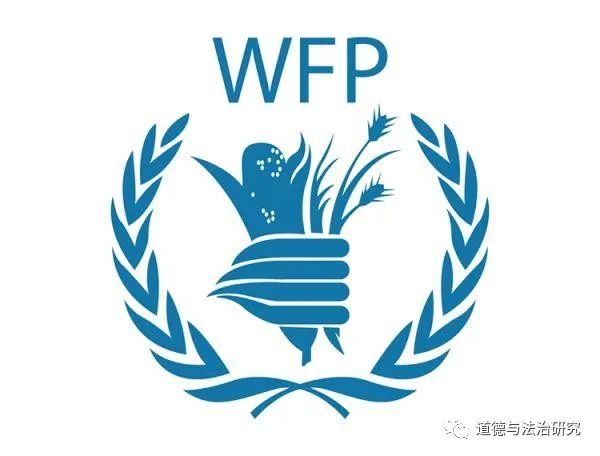 国际组织图标大全，全球标志概览与深度解析