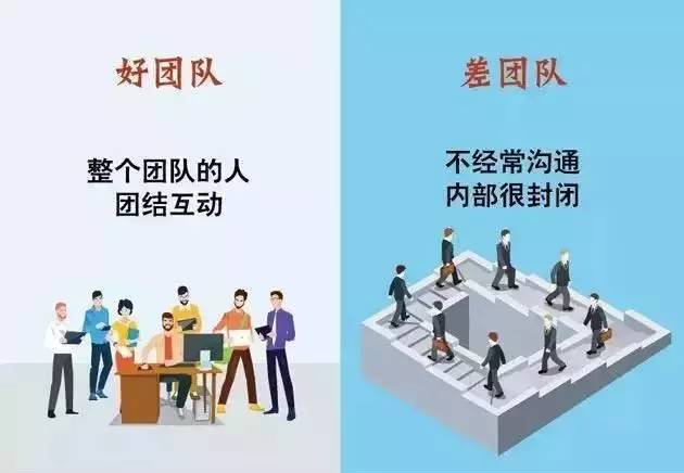 员工心得，打造高效团队的稳固基石之道