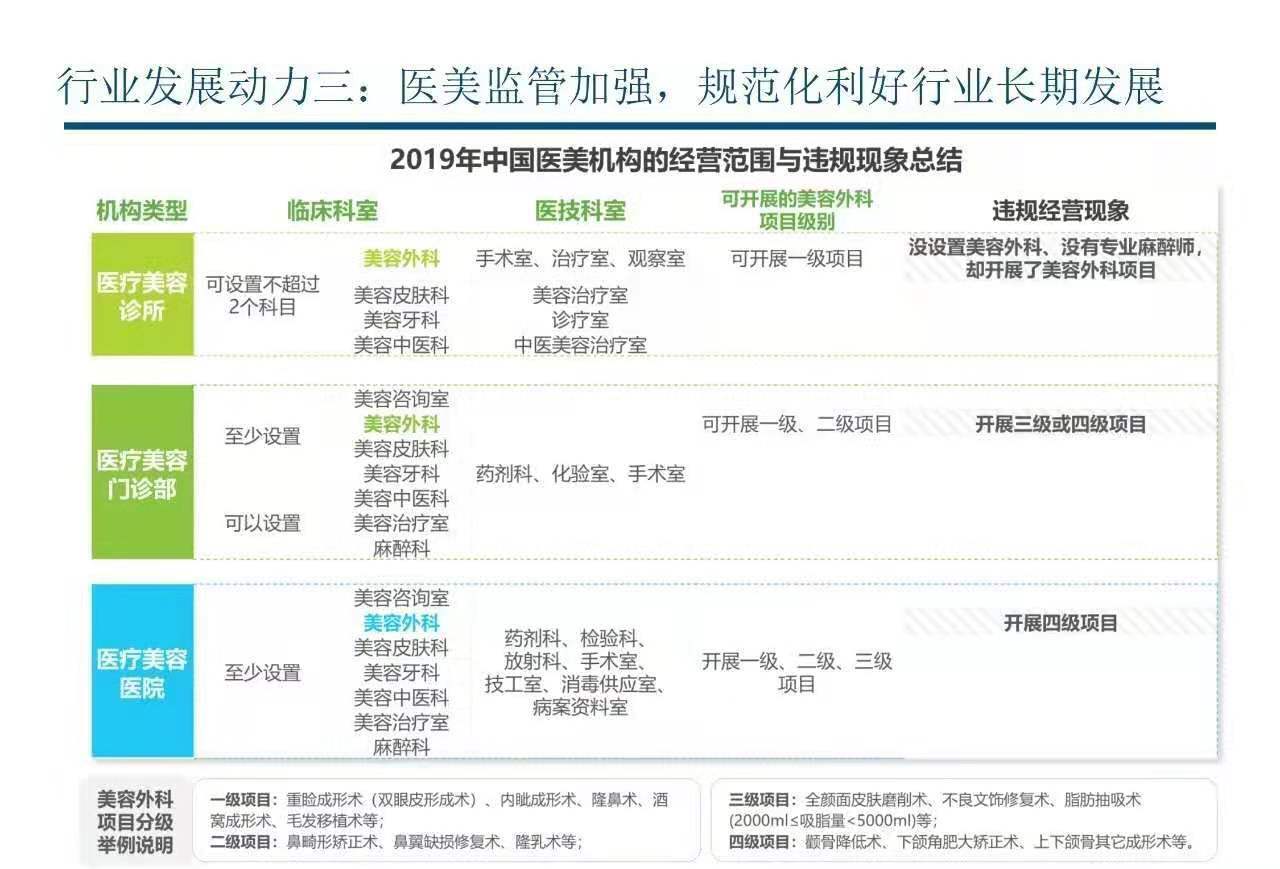 全面解读头部公司的内涵与价值，定义与重要性分析