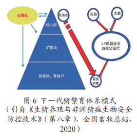 社会保障制度面临的挑战与优化策略探讨