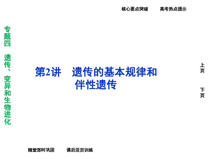 洪水对河床宽度的影响及优化策略探讨