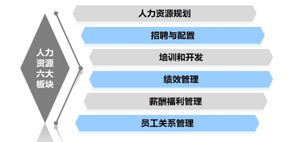 构建高效的人力与人才管理信息化系统