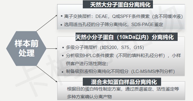 白精的优化与应用探索