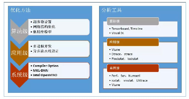 寸草不留，深度分析与优化策略详解