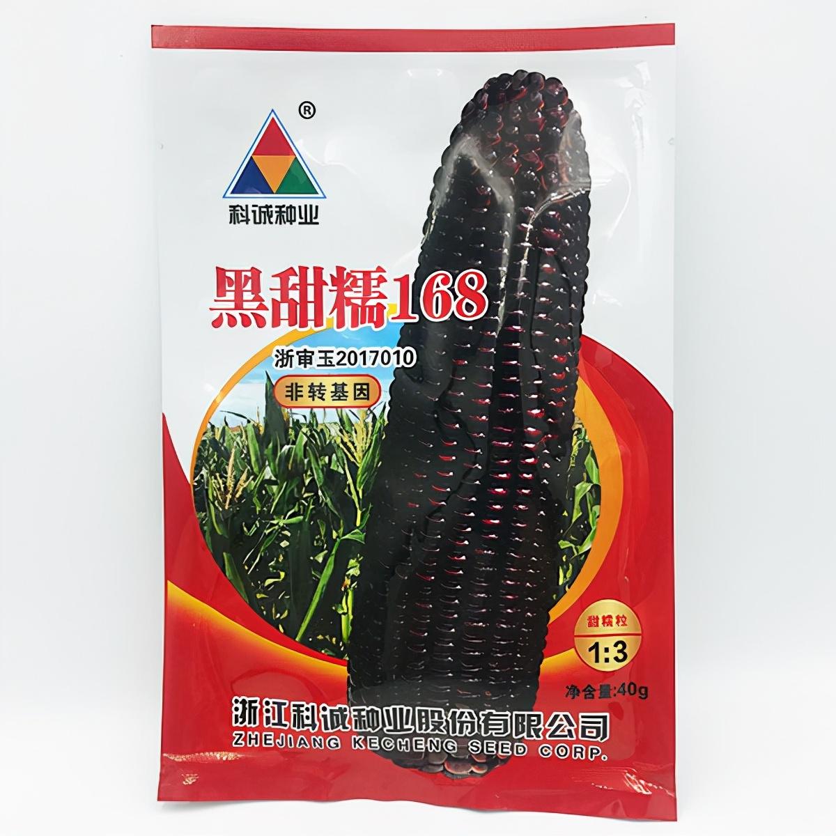 黑玉米，营养丰富的健康食品首选