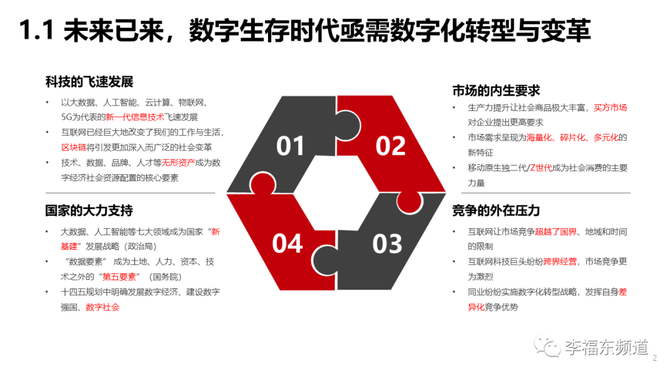 勒维特技术，引领数字化转型的核心力量与优化策略