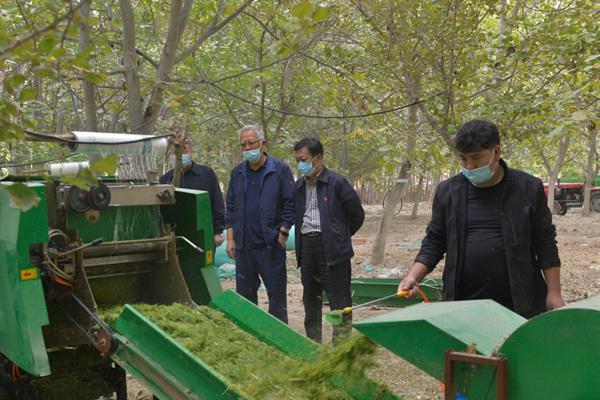 草料二维码生成、优化与应用全攻略详解