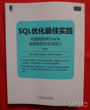 精通专业技能，卓越实践与优化策略指南