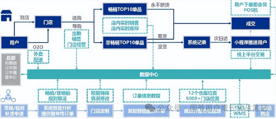 王泽龙家庭的幸福蓝图，家庭优化之道