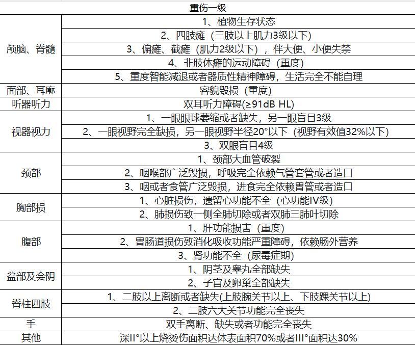 重伤一级与二级的严重程度解析及影响探讨