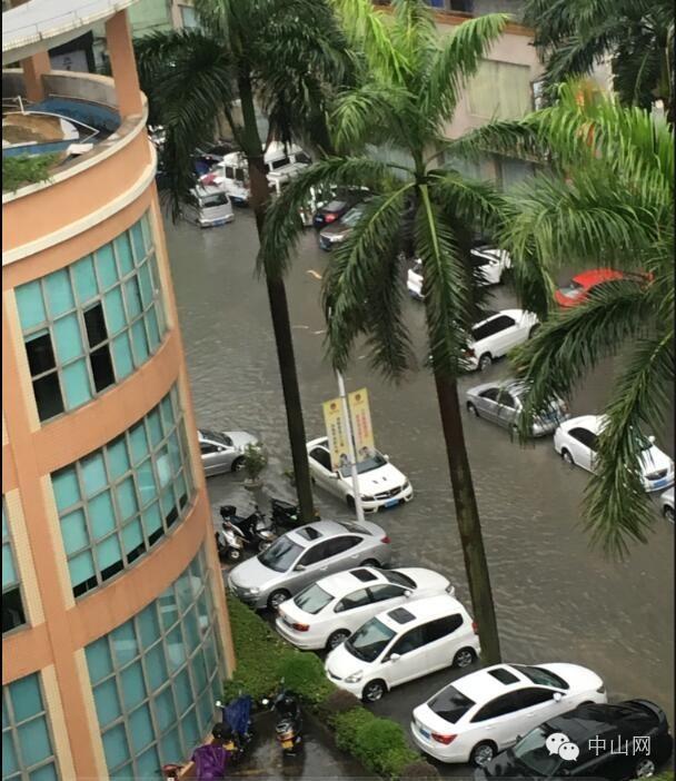 暴雨预警级别与停课决策，深入了解停课标准与应对策略