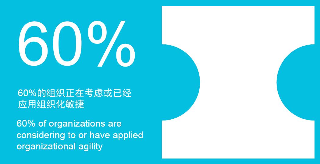 揭秘PMI—ACP的专业意义与应用价值