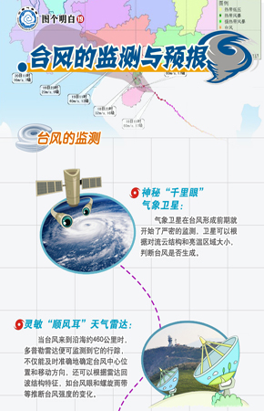 台风网，监测预警、防范应对与搜索引擎优化全攻略