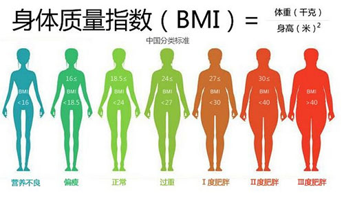 BMI指数计算指南，解锁你的健康体重范围