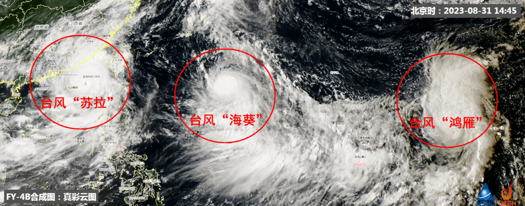 台风一级与二级响应差异深度解析及影响探讨