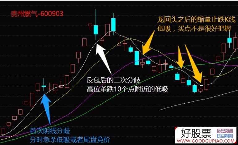 港股行情深度解析，波动中的机遇与挑战探索