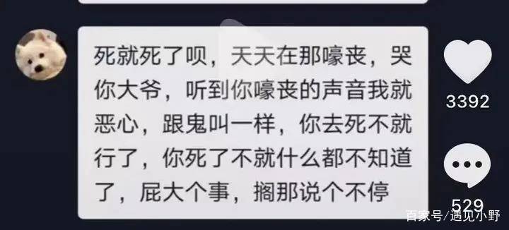 新闻动态 第478页