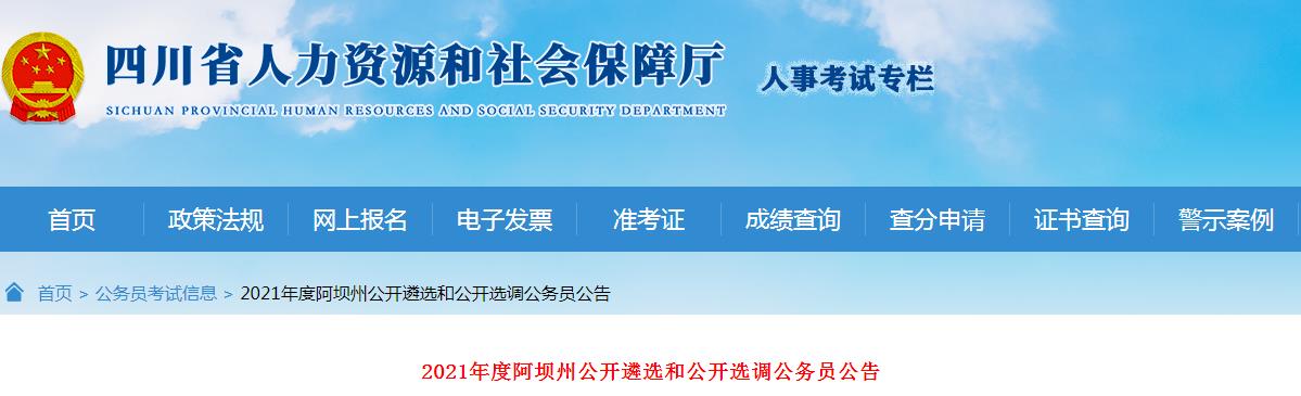 四川省阿坝州人力资源考试网，人才选拔与成长的助力器