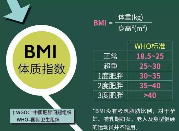 BMI指数计算详解，公式、优化与常见问题解答攻略