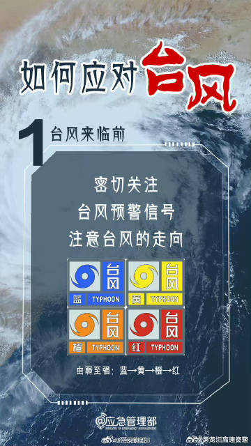 福建台风最新消息今日简报，台风动态与应对措施